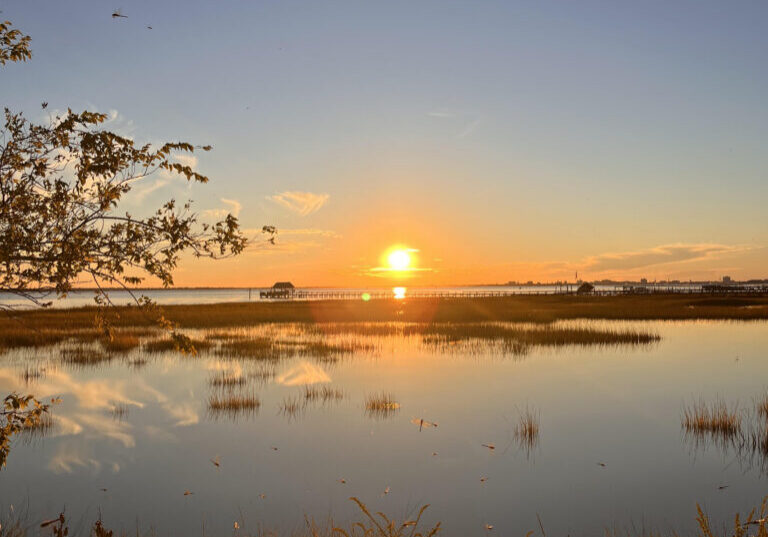 lowcountry